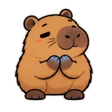 Freezing Hands · Capybara sticker from Express Yourself