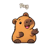 Pay · Capybara sticker from Chat Reactions