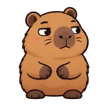 Side Eye · Capybara sticker from Express Yourself
