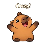 Crazy! · Capybara sticker from Chat Reactions