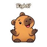 Right? · Capybara sticker from Chat Reactions