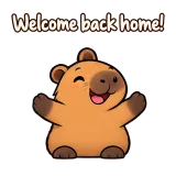 Welcome back home! · Capybara sticker from Chat Reactions