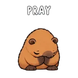 Pray · Capybara sticker from Express Yourself