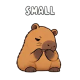 Small · Capybara sticker from Express Yourself
