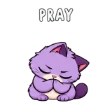 Pray · Drama Cat sticker from Express Yourself