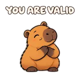 YOU ARE VALID · Capybara sticker from Express Yourself