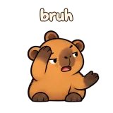 bruh · Capybara sticker from Chat Reactions