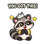 PUSH! · Chaos Raccoon sticker from Chat Signs