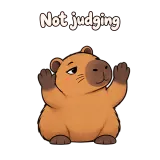 Not judging · Capybara sticker from Express Yourself